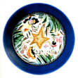 A Plate with a Five-Pointed Golden Star